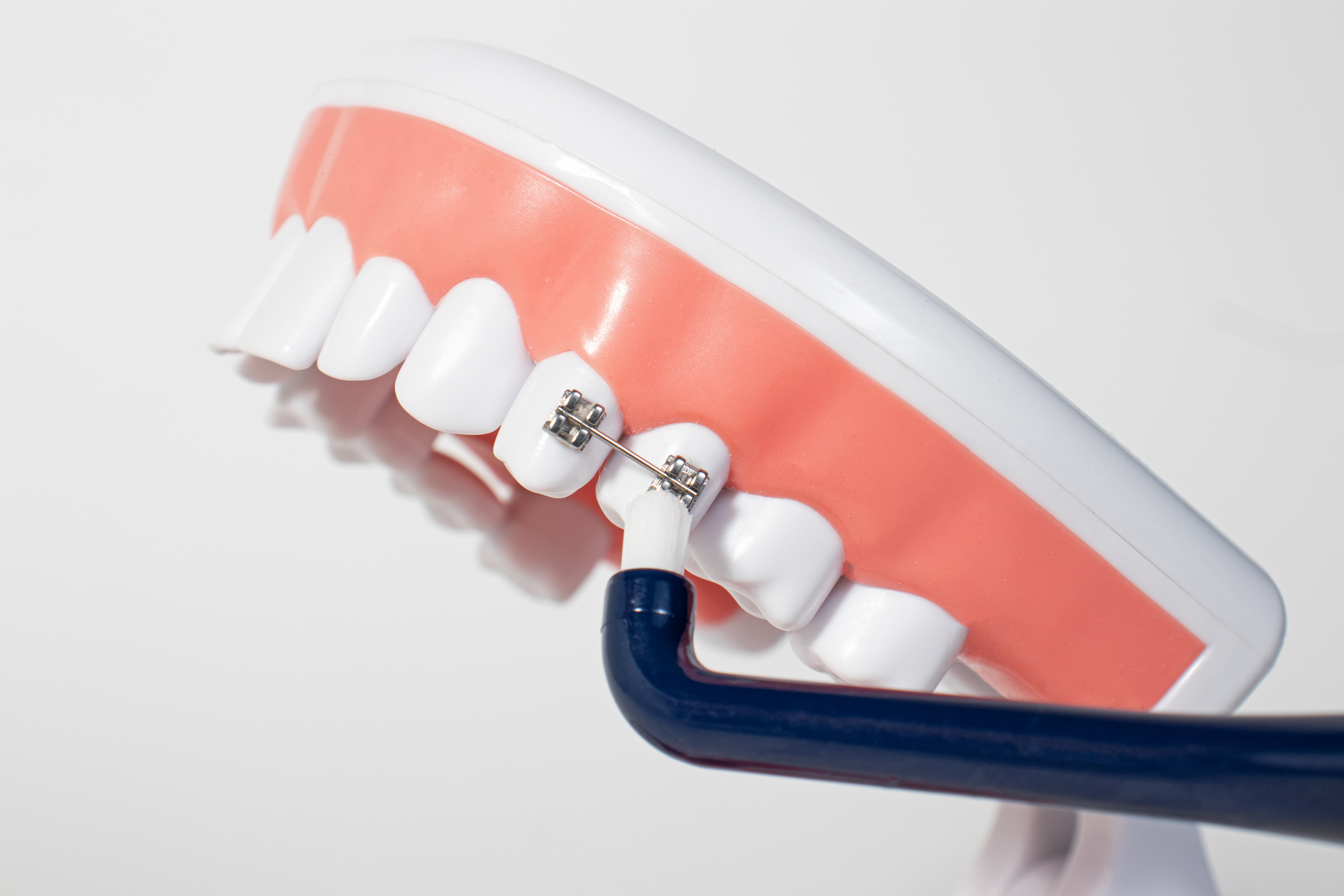 Royal Denta Single Tuft harjaga hammaste puhastamine