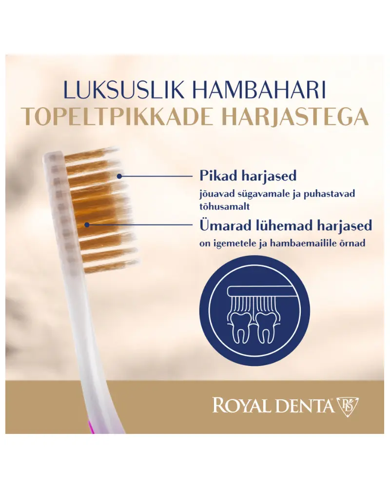 Hambahari Royal Denta Medium Gold NEW LOOK!