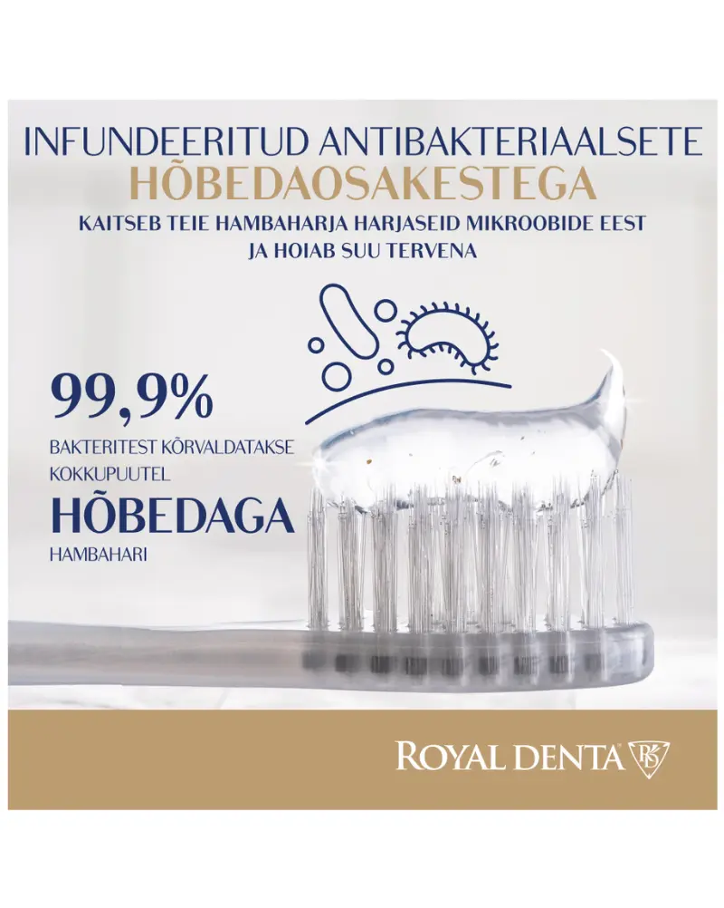 Hambahari Royal Denta Medium Silver NEW LOOK!