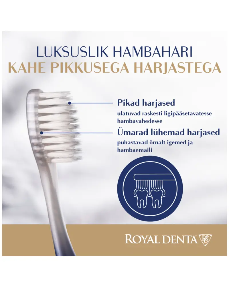 Hambahari Royal Denta Medium Silver NEW LOOK!