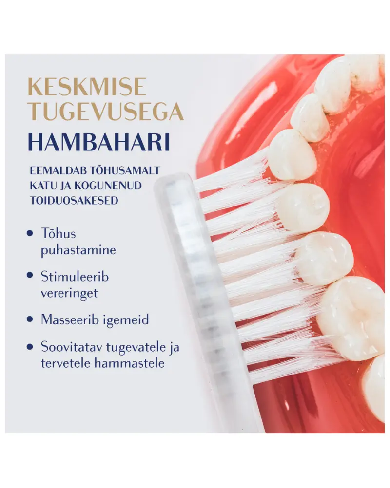 Hambahari Royal Denta Medium Silver NEW LOOK!