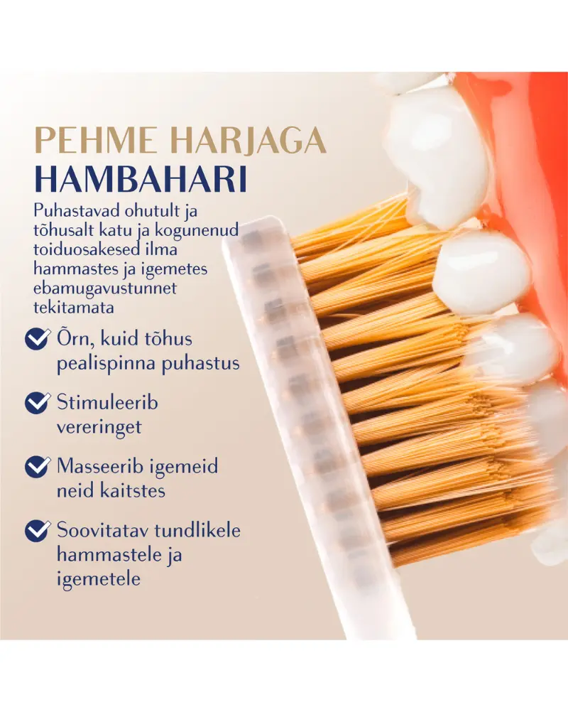 Hambahari Royal Denta Soft Gold NEW LOOK!