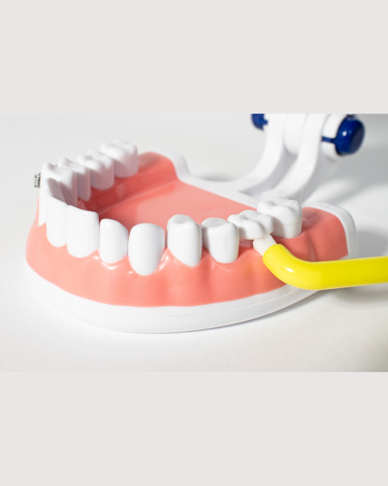 Hambahari Royal Denta Soft Silver Single-Tuft, kollane